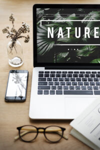 Diseño web